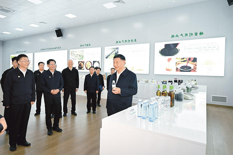 全世界最大的网赌网址